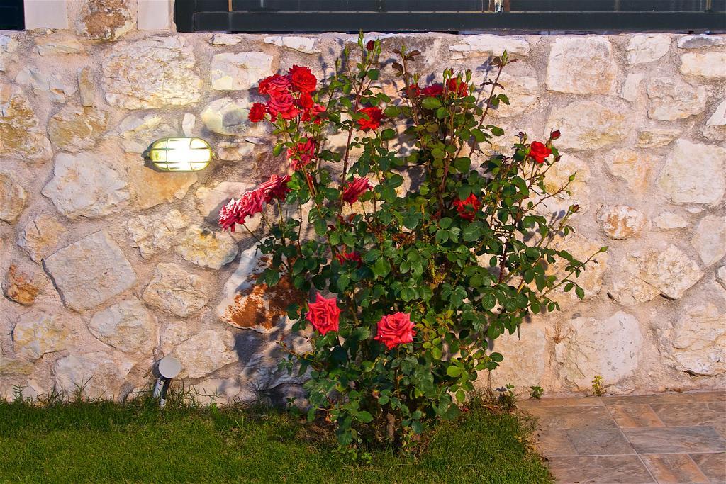 Superb Villa With Private Pool Peaceful Location サミ エクステリア 写真